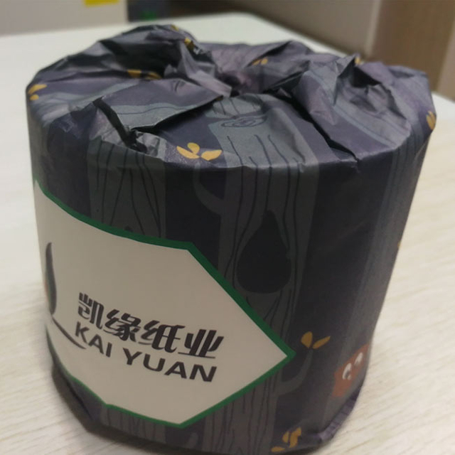 Recycled toilet paper roll