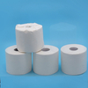 Recycled toilet paper roll