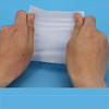 Recycled toilet paper roll